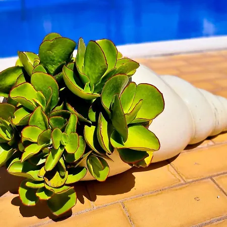 Flh Summer Flat With Pool * Vilamoura