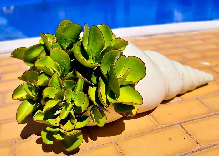 Flh Summer Flat With Pool * Vilamoura